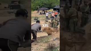 Download lagu Menyaksikan Pembuatan Adegan Ledakan Bom di Lokasi Syuting Film #shortvideo #shorts mp3