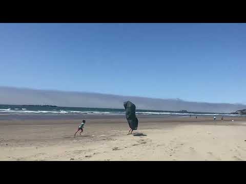 Tarp fun in the wind.