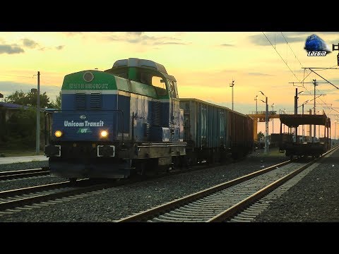 LDH1250 81-0069-0 la Manevră/Shunting pe Apus/on Sunset in Gara Curtici Station - 27 May 2020