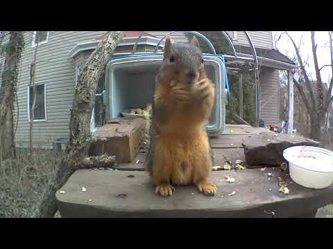 when you’re sooo hungry