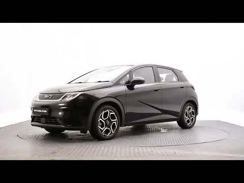 BYD DOLPHIN Comfort Order Your 261 Today! - Image 2