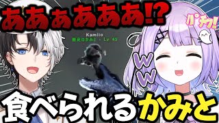 食べられるかみとを見て爆笑する紫宮るな【ぶいすぽっ!/VCR ARK/切り抜き】