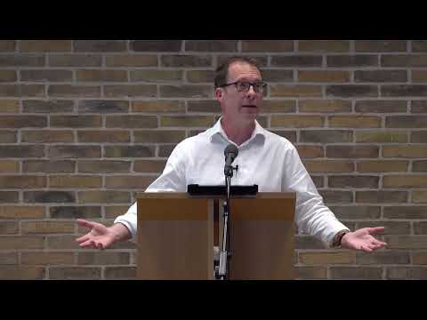 The Host - David Gibson