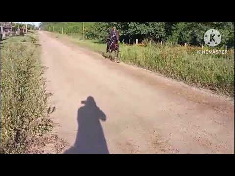 Enduro 75 km ..campo militar cerrillos canelones 10/11/2024