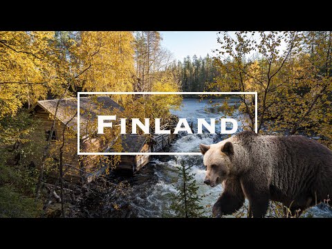 Travel to Finland in Summer & Autumn | Finland Travel Guide | Finland Vacation