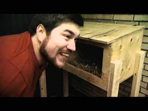 Mr. Poxycat & Co - Drengenes kaniner