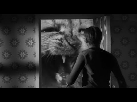 The Incredible Shrinking Man (1957) - Cat Scene