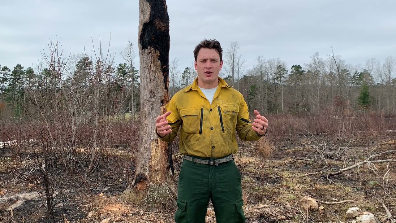 Prescribed Burn at Buffalo Creek Preserve