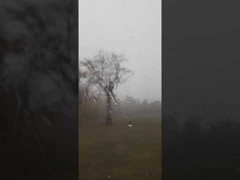 Severe Thunderstorm in Michigan. Friday, October 23, 2020