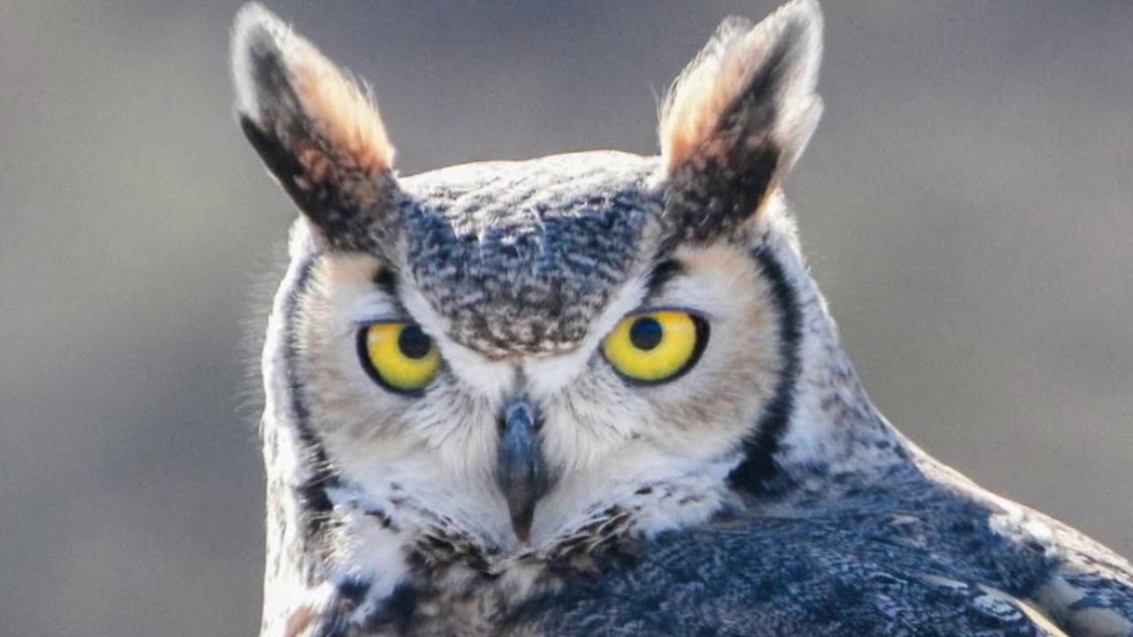 Minute of Color & Joy: Brian Hooker Photography