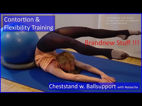 Contortion Training by Flexyart 234: Cheststands - Also for Yoga, Pole, Ballet, Dance, Fitness