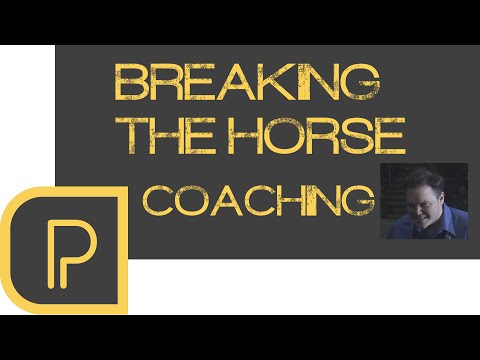 Breaking the Wild Horse; Coaching SirActionSlacks