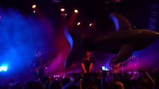 Smallpools - Killer Whales - LIVE with Killer Whale Floatie // 6.8.18 // Early Bird Music