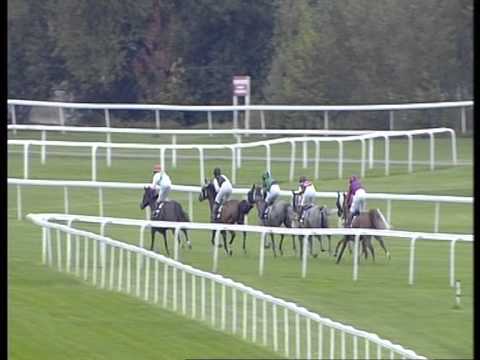 Windsor 30 August Arabian Race 7