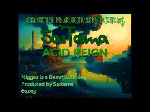 Niggas Is a Beautiful Thing