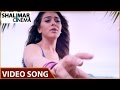 Dhenikaina Ready దేనికైనా రెడీ Pillaa Neevalla Video Song Vishnu Manchu Hans