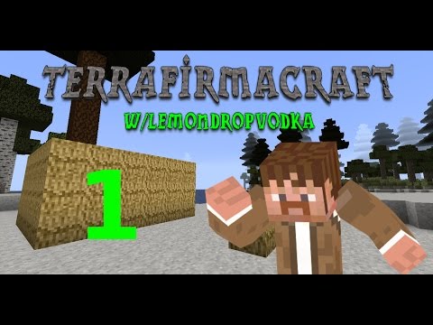 TerraFirmaCraft -- Episode 1 -- "Sticks 'N Stones"