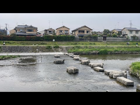 Springtime in Japan: A colorful journey through Nature’s beauty😍 #springinjapan #flowerfestival