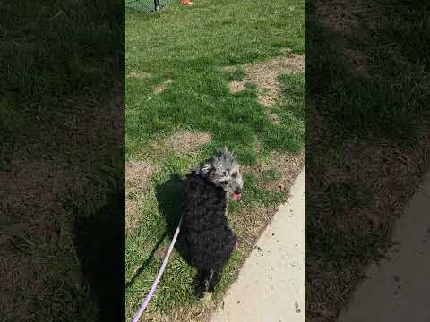 A #beautiful #day first #recording with my #Samsung #Galaxy #Ultra #s26