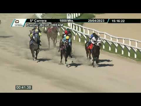 230429 c05 - REWARD - HIPODROMO LAS PIEDRAS