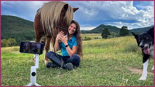 Insta360 Flow - The AI Tracking Smartphone Gimbal for Horse Riders