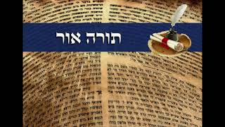 תורה אור פרשת משפטים ד"ה ואלה המשפטים אשר תשים לפניהם, הרב חיים ליבערמאן