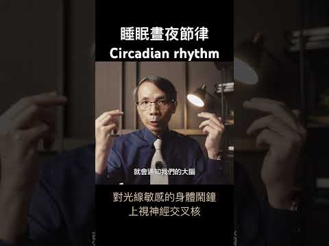 視交叉城郭