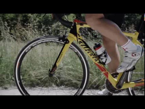Wilier GTR SL 2016  - www.bikesportworld.de