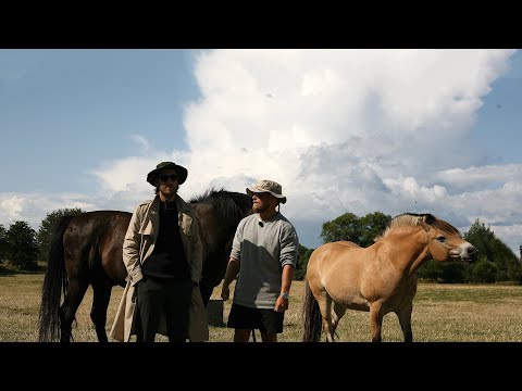 CIA udspionerer Danmark | Twitter Nyt | HGDG Highlight