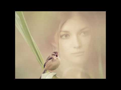 Catullus 2 - Lesbia's Sparrow (English)