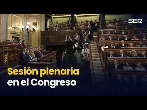 Sesión plenaria en el Congreso (26/02/2026)