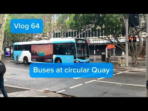 Vlog 64 buses at circular quay
