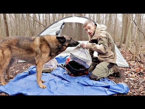 24h Walmart Camping/Survival Challenge $500 Spent on Walmart Camping Gear, Camping with my Dog