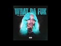 PLUTO What Da Fuk AUDIO