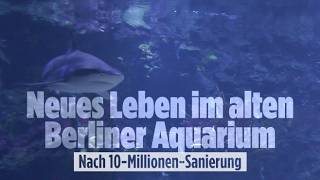 BERLIN: Aquarium öffnet nach drei Jahren Umbau! Pünktlich zum 113. Geburtstag