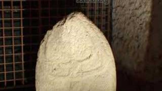 preview picture of video '334 Sardinia Laconi menhir statues neolitikus szobrok'