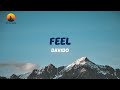 Davido - Feel (Lyric Video)