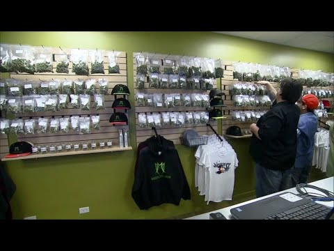 New York Recreational Cannabis Applications