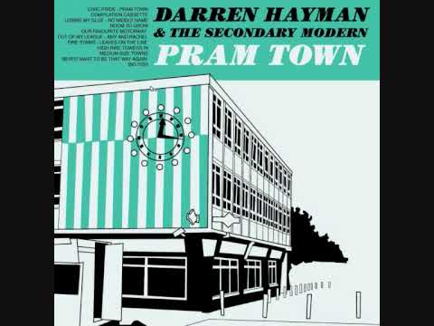 Darren Hayman - Fire Stairs