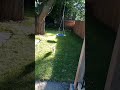 Mexican Doggy