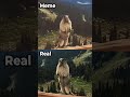 Screaming Beaver Meme Vs Real Animals Funny Memes