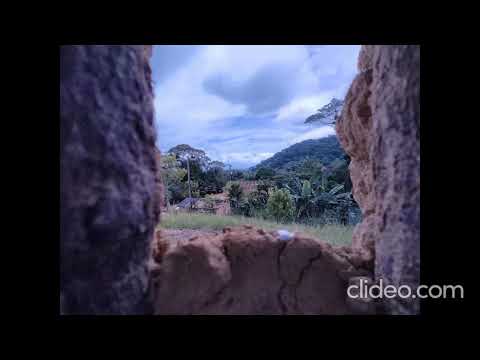 Nhanderu Tenonde Oyvyrupa re - Canto Guarani