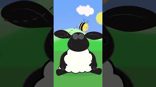 Calming Down With Timmy | Timmy & Friends #shorts