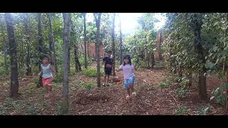 Cuộc đua ủa các chiến sĩ sân vườn 🥰