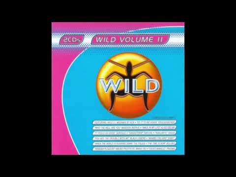 Wild 11 Megamix (Mixed By KCB)