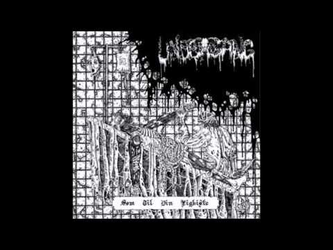 Undergang - Afrevne Lemmer