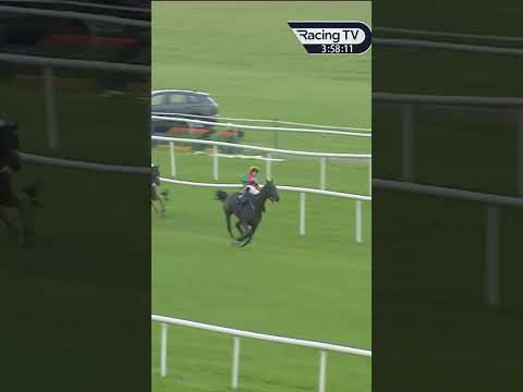 Plenty of drama in this race at Tipperary! #horse #horseracing #racingtv #sport