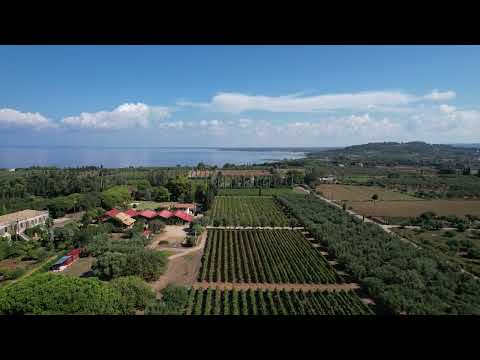 Κτήμα Μερκούρη | Ηλεία