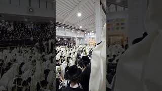 Hoshana Rabbah in Satmar Williamsburg 2025 סאטמאר הושענא רבה תשפ"ו