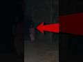 Real Chudail Caught On Camera Ghost Hauntedstories Horror Realghoststory Realghost Punjabi